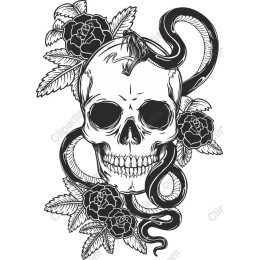 Enigmatic Skull and Snake Floral