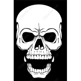 Bold Skull work in Black and White