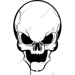 Cracked Skull