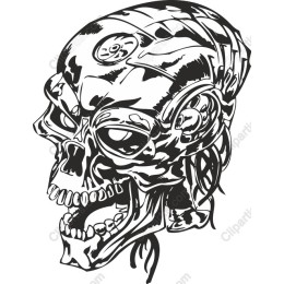 Mechanical Skull