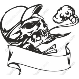 Rebel Skullduggery
