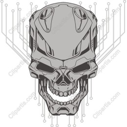 Cyber Skull