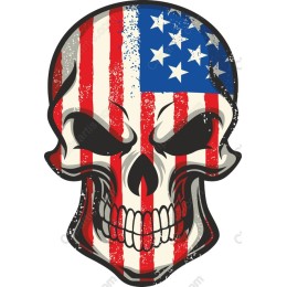 Patriotic Skull