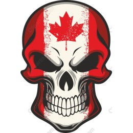 Canadian Skull