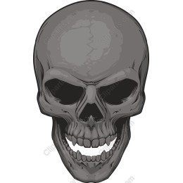 Intricate Skull