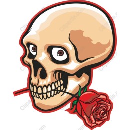 Skull with Rose