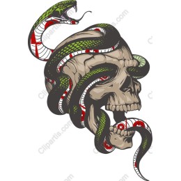 Fierce Skull and Snakes