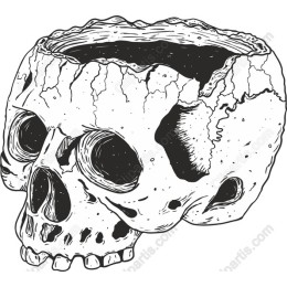 Cracked Skull