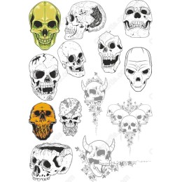 Skull Set - High-Quality