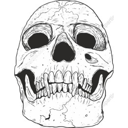 Hand-Drawn Skull