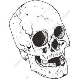Vintage Skull