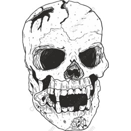 Hauntingly Detailed Skull