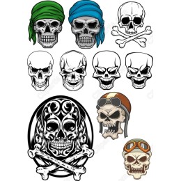 Skull Collection - Set