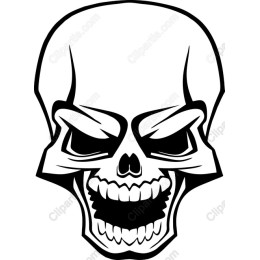 Bold Skull
