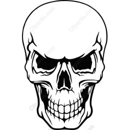 Premium Skull