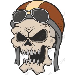 Fierce Aviator Skull