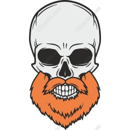 Skull with Orange Beard