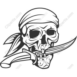 Epic Skull and Saber Pirate
