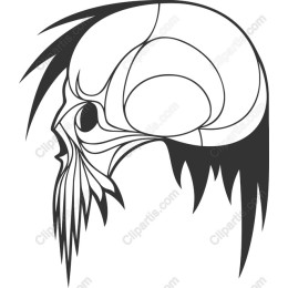 Bold Skull