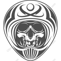 Skull Helmet