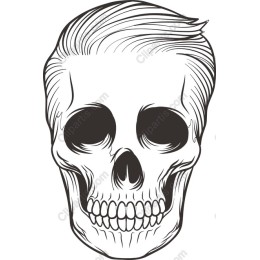 Vintage Skull