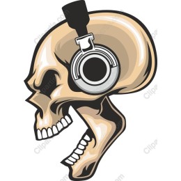 Skull Headphones