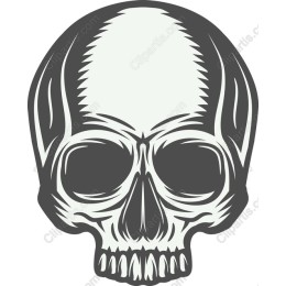 Premium Skull