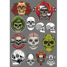 Ultimate Skull Bundle