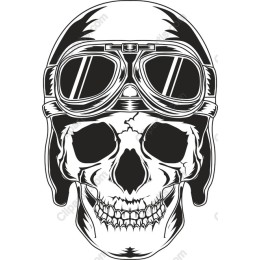 Vintage Aviator Skull