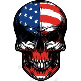 American Flag Skull