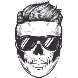 Stylish Sunglasses Skull