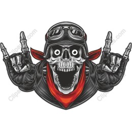 Rock n' Roll Skull Aviator