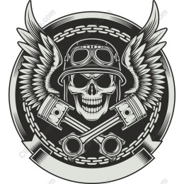 Skull and Wings Piston