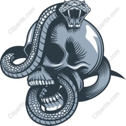 Fierce Skull and Snake