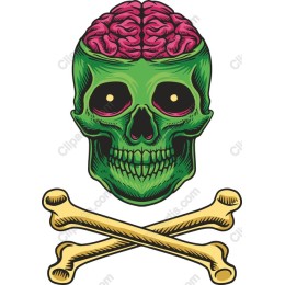 Vibrant Skull and Brain