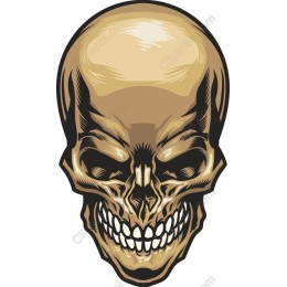 Skull