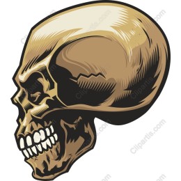 Vintage Skull