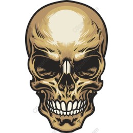 Edgy Skull