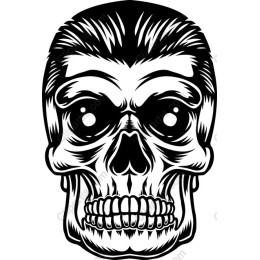 Black-and-White Skull