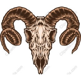 Majestic Ram Skull