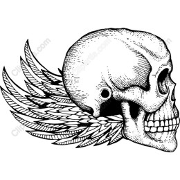 Skull with Wings