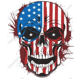 American Flag Skull