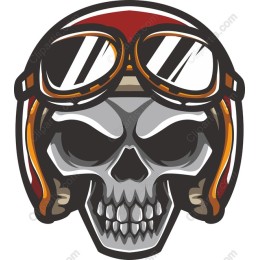 Aviator Skull