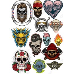 Premium Skull Bundle - 12 Unique