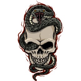 Sinister Skull and Snake