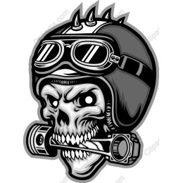 Fierce Skull with Helmet and Goggles