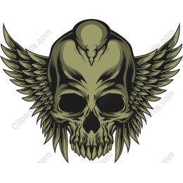 Winged Skull