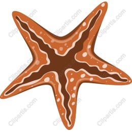Vibrant Starfish