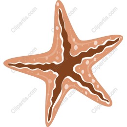 Starfish
