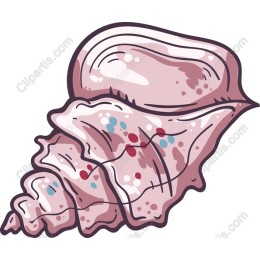 Whimsical Pink Conch Shell